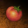 蕃茄