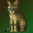 金黃色貓