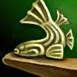 虎鯨像