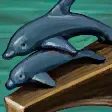 海豚像