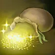 沙金