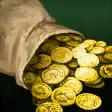 金幣