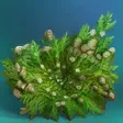 尼亞斯蒂卡